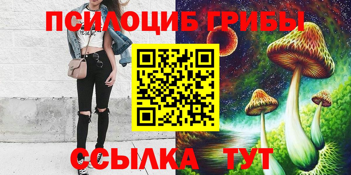 Псилоцибиновые грибы MAGIC MUSHROOMS  Вход с VPN  Камышин 