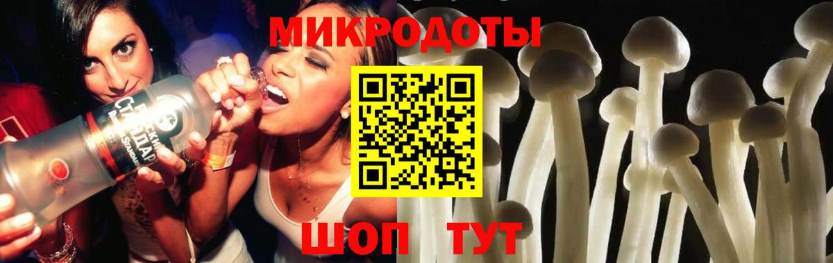 Галлюциногенные грибы MAGIC MUSHROOMS Камышин