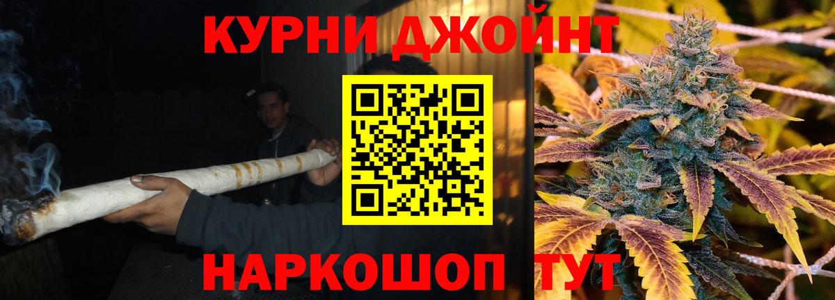 Камышин  Канабис индика  Канабис ГИДРОПОН  Бошки Шишки Bruce Banner  Вход с VPN 